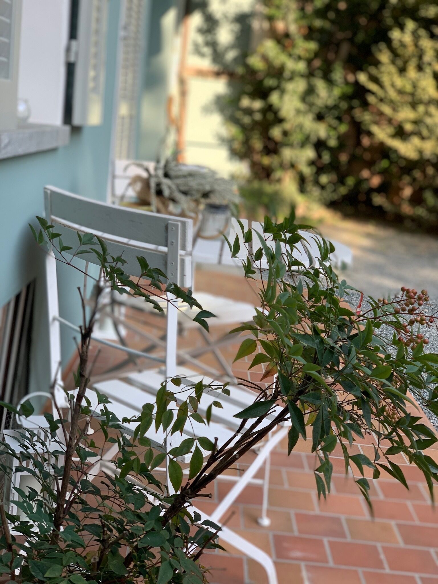 Territorio Langhe y Roero, declarado Patrimonio de la Humanidad por la UNESCO.