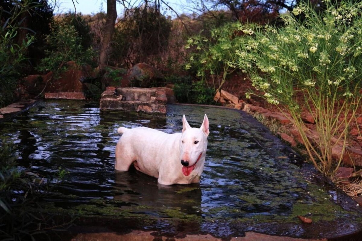 Bild für Gastgeberprofil