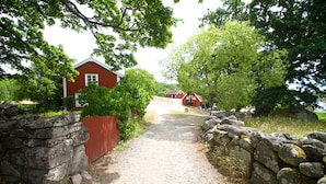 Unclassified image, 4 of 57, button - Tjärö (Brakne-Hoby)