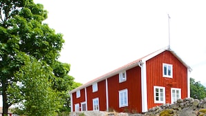 Unclassified image, 5 of 57, button - Tjärö (Brakne-Hoby)
