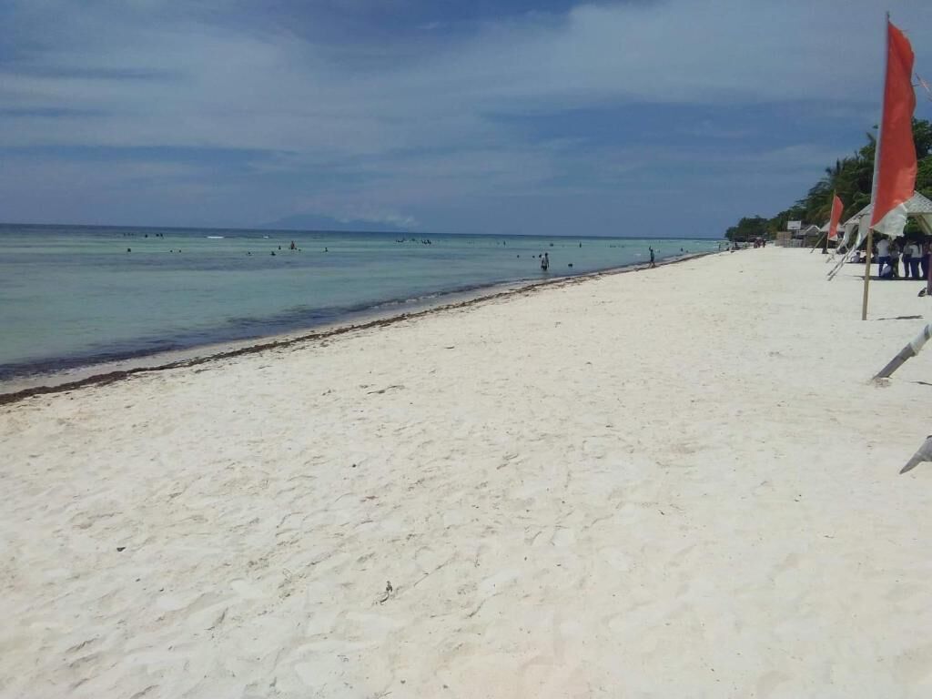 Una playa con arena y algunas banderas rojas.