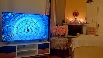 Smart TV, fireplace, table tennis, books