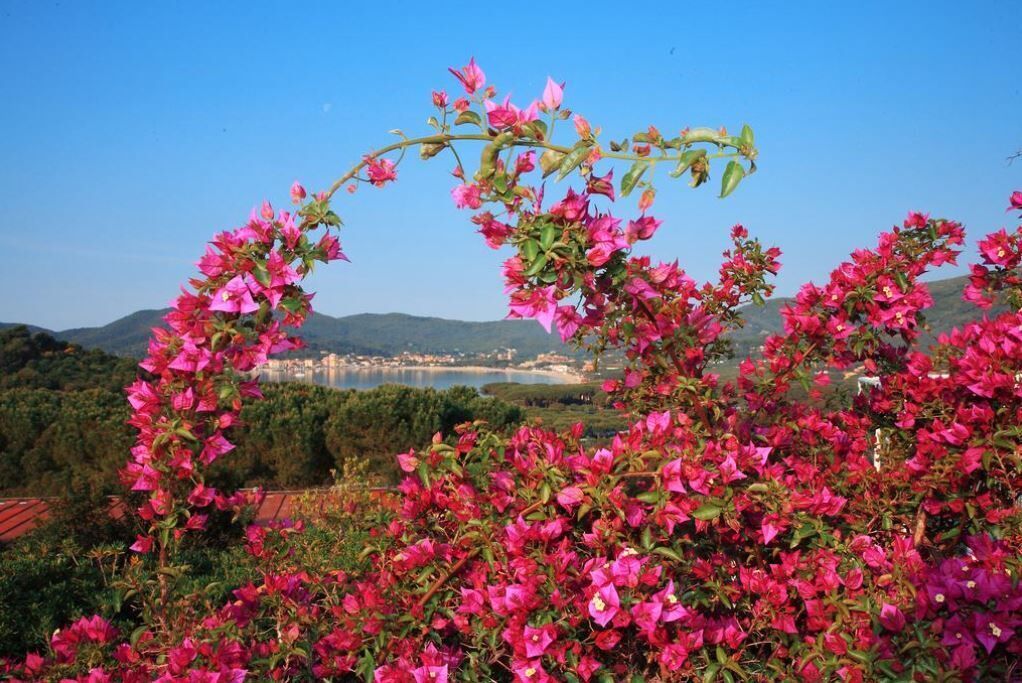 Photo - Hotel Marina 2