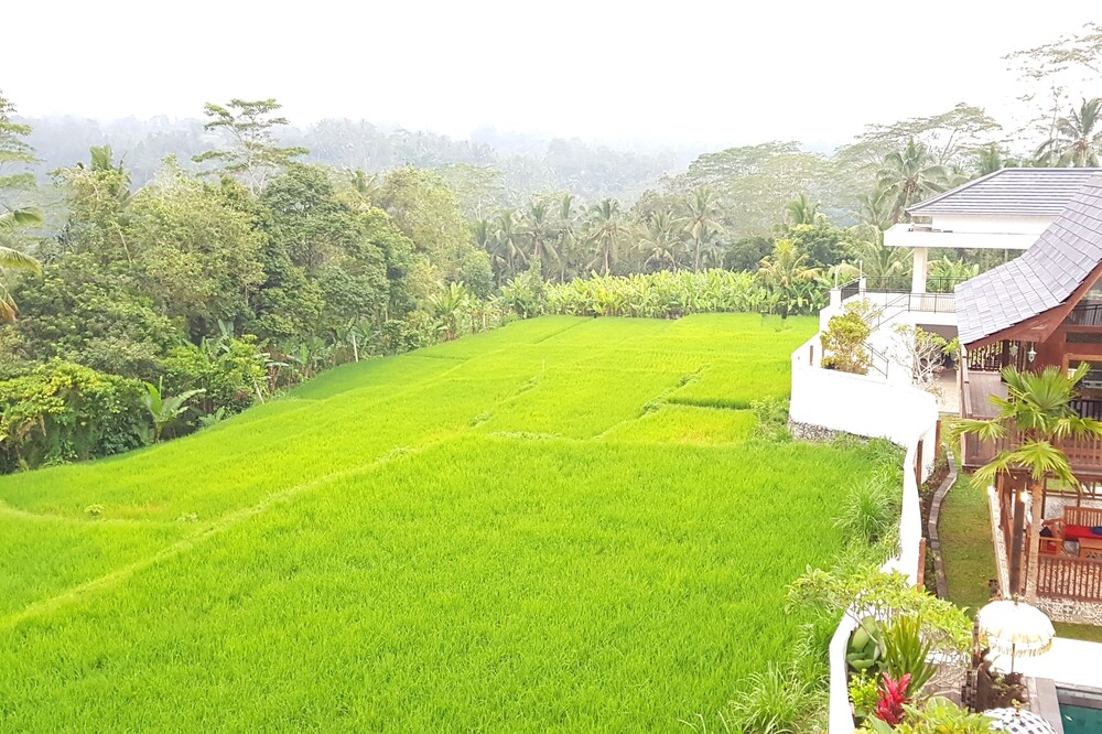 Peaceful Private Pool Villa - 9 BR with Amazing Green Rice Field View