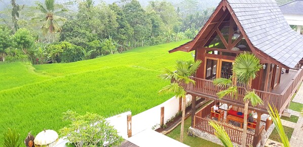 Property grounds - Peaceful Private Pool Villa - 9 BR with Amazing Green Rice Field View (Payangan)