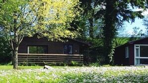 A cabin with a wooden exterior, a bench, and a field of white flowers.