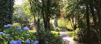 Ruthern Valley Holidays