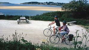 Two people on bicycles near a beach with a picnic table and a bench in the background.