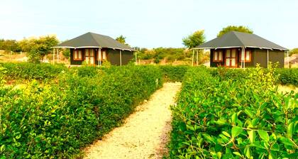 Thour Nature Resorts