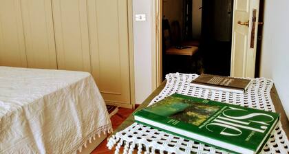 Piazza Del Grano Treviso