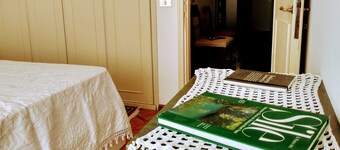 Piazza Del Grano Treviso