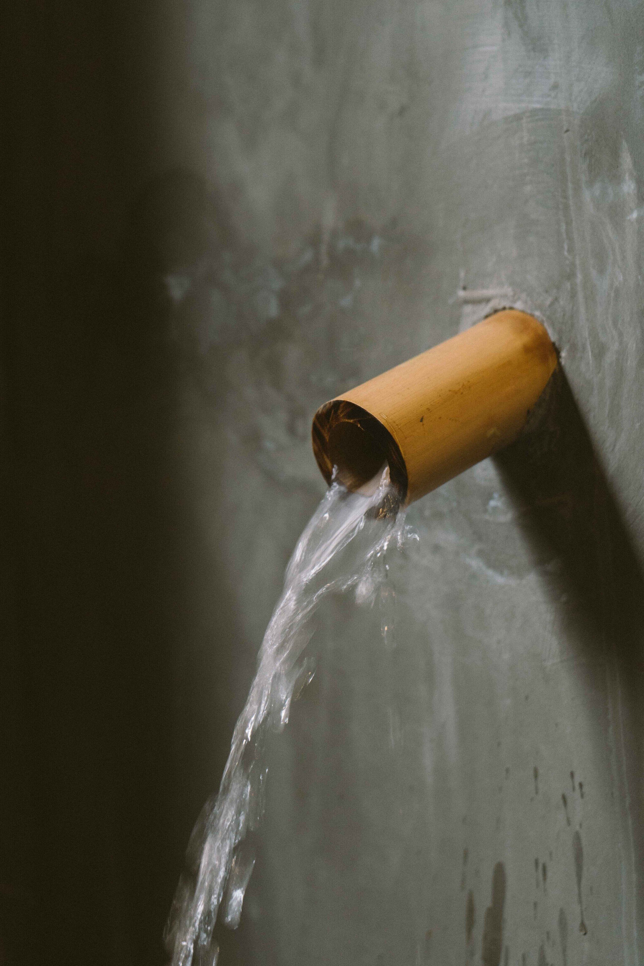 Photo - Larimar Hotel & Resort