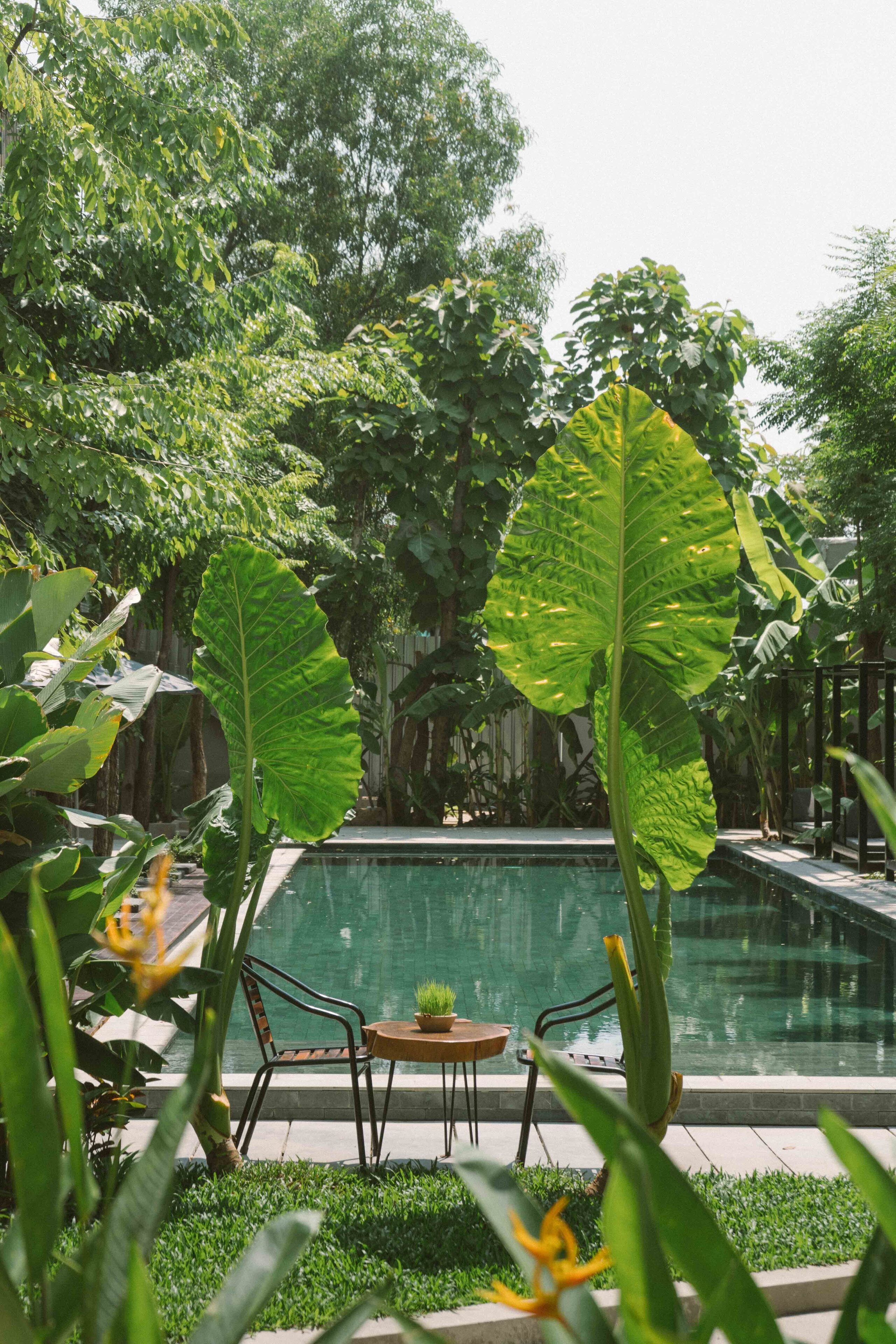 Foto - Larimar Hotel and Resort
