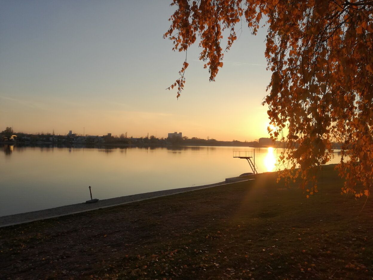 A calm lake at sunset with a dock and a tree in the foreground.