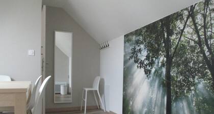 Chambre et Appartement Zen de Beauval