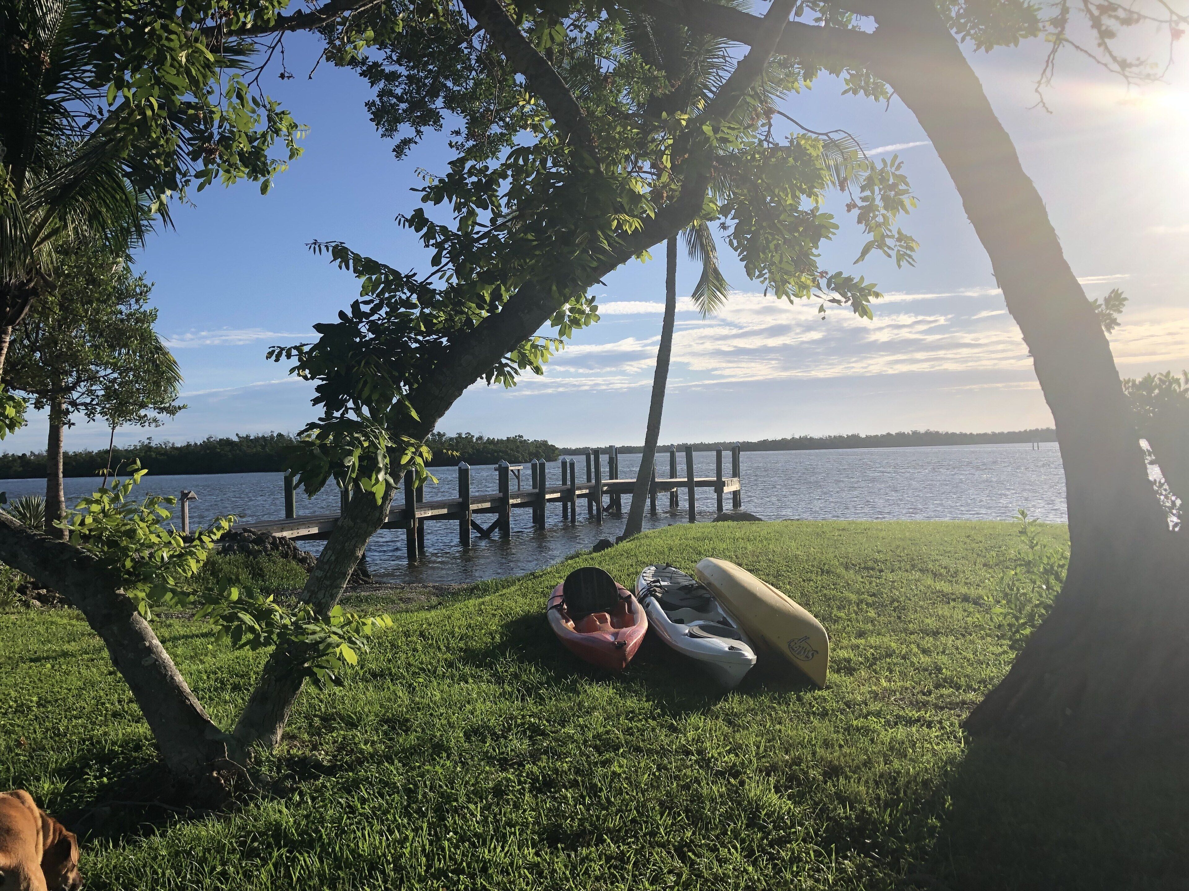 Une zone herbeuse avec une jetée qui s’avance dans un lac, le tout entouré d’arbres.