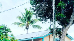 Una casa de un piso con porche, una palmera y diversas plantas tropicales.