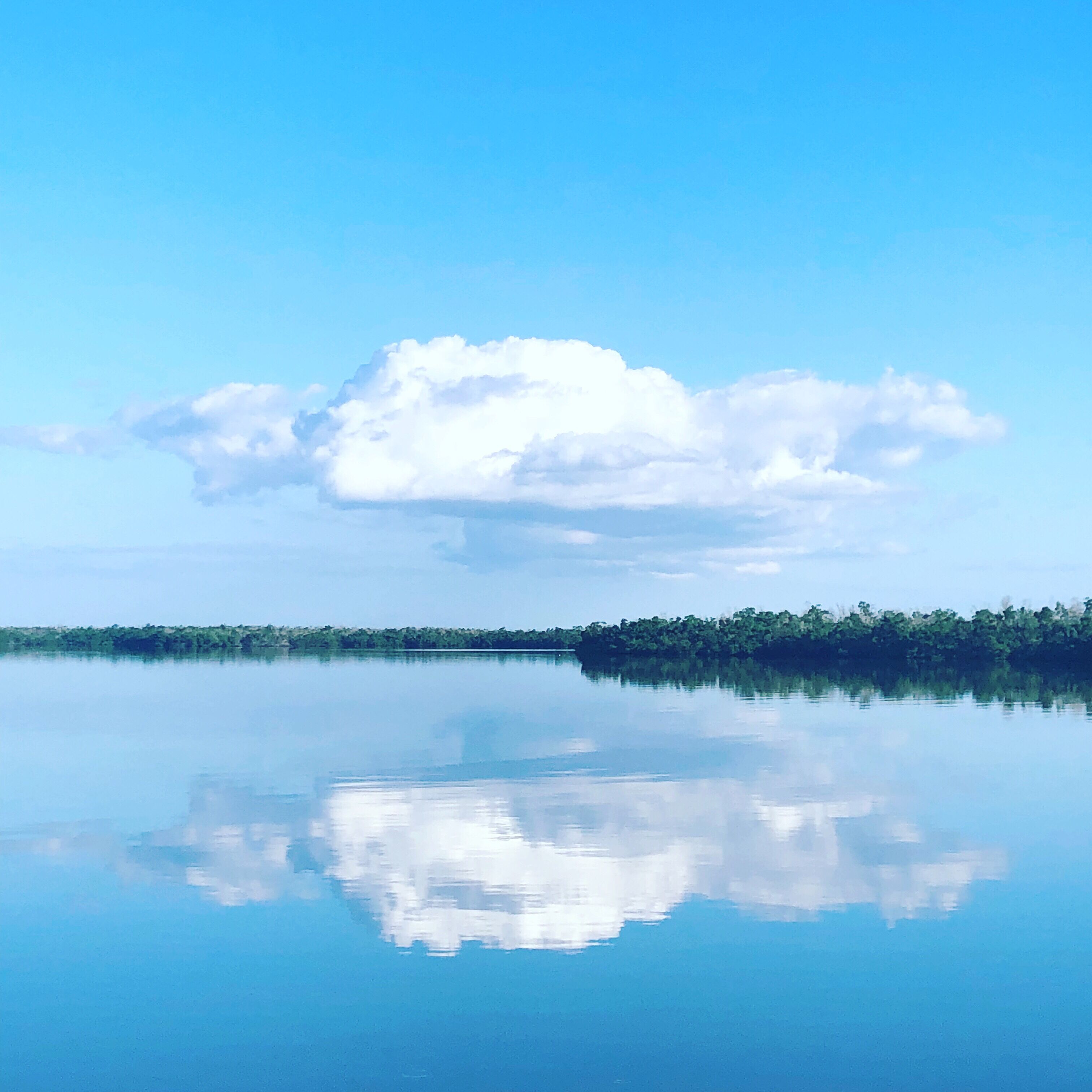 Un lac paisible dont la surface reflète clairement le ciel et les nuages, et qui est entouré d’une végétation luxuriante.