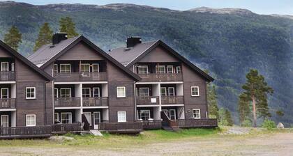 3 huoneen majoitus Uvdal