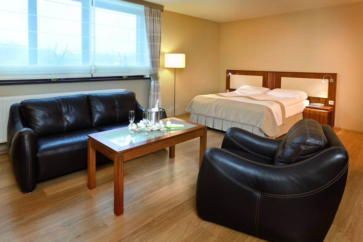 Una habitación de hotel con cama, sofá, sillón, mesa y ventana.