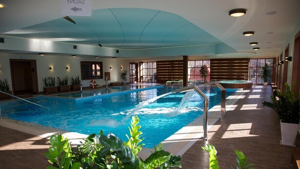 Una piscina interior con agua cristalina, rodeada de plantas en macetas y suelo de madera.