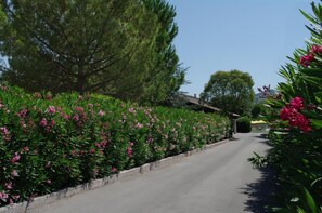 Terrain de l’hébergement 