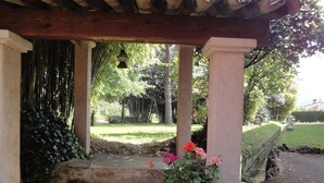 A covered outdoor area with a stone bench, a potted plant with flowers, and a hanging lantern.