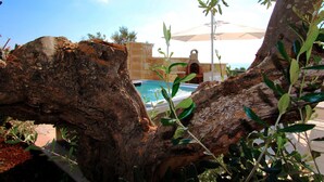 A pool area with a large tree trunk in the foreground, a clear blue sky, and a building with an umbrella in the background. - The Dream Residence 241 (Salve)