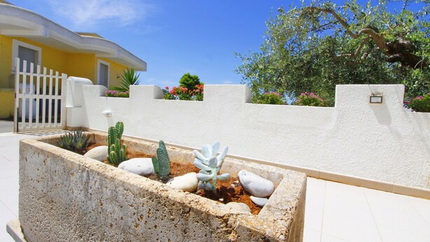 A courtyard with a white wall, a planter with cacti, and a yellow building in the background. - Villetta Rossini (Morciano di Leuca)