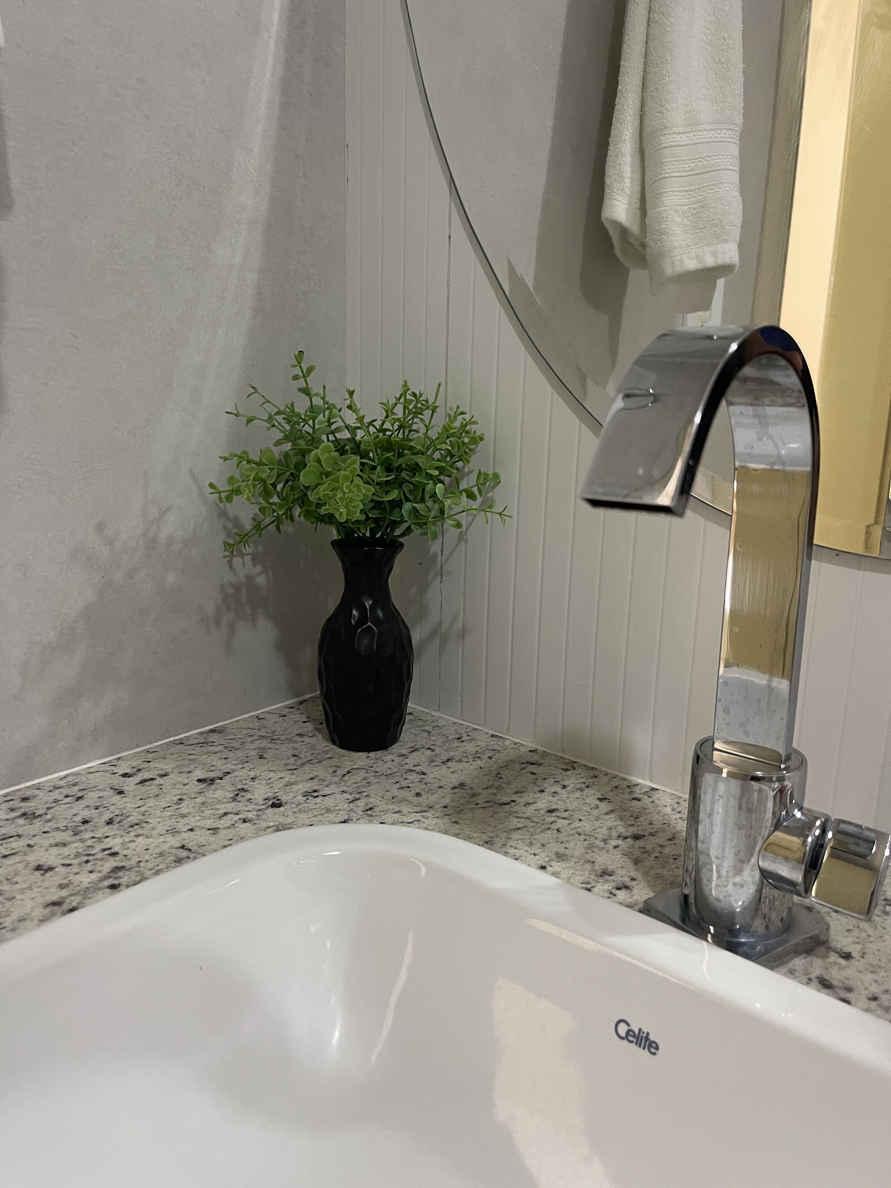 Un baño con un lavamanos blanco, un florero negro con plantas verdes y un espejo sobre el lavamanos.