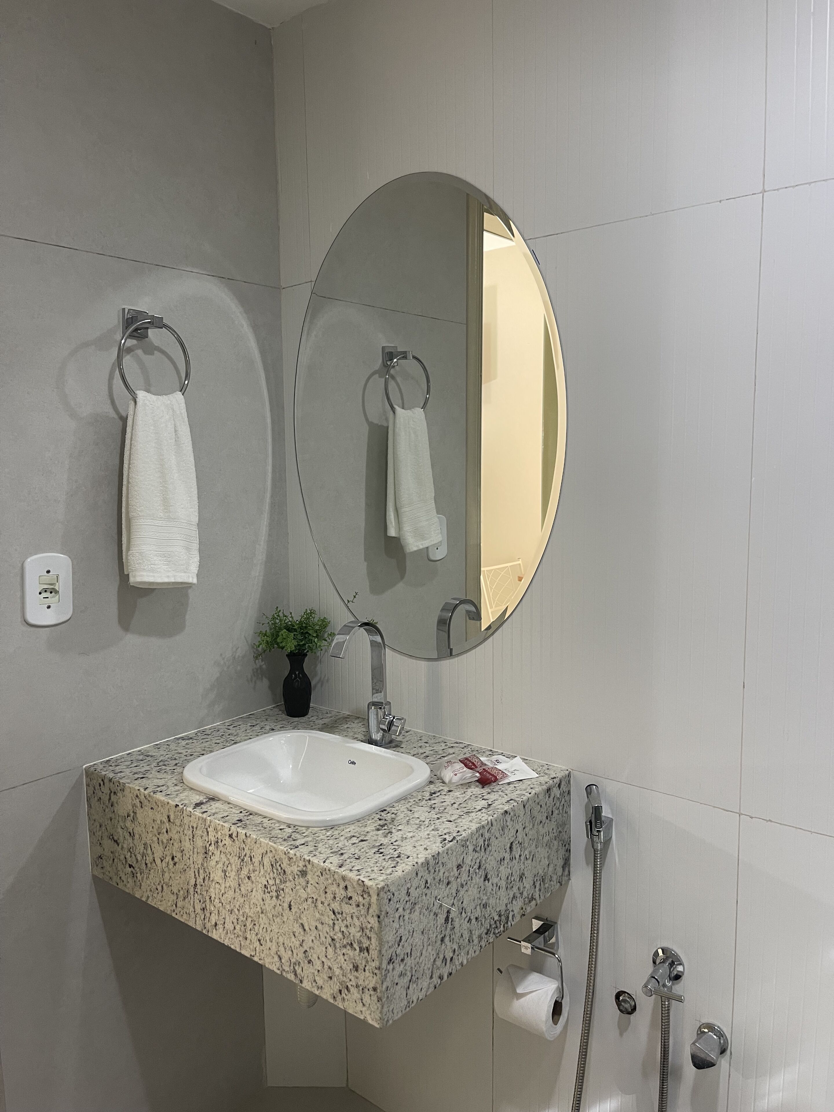 Un baño con lavamanos de encimera de granito, un espejo, un sujetarropas, una planta en maceta y una ducha con cabezal de ducha de mano.
