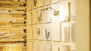 Una pared repleta de libros y papeles, una lámpara y una jaula blanca para pájaros.