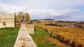 A stone pathway leading to a rustic building with a window, surrounded by a vineyard and a village in the background. - Le Globe (Meursault)