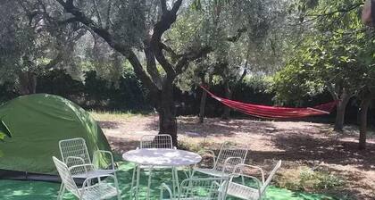 B&B Casa Franca