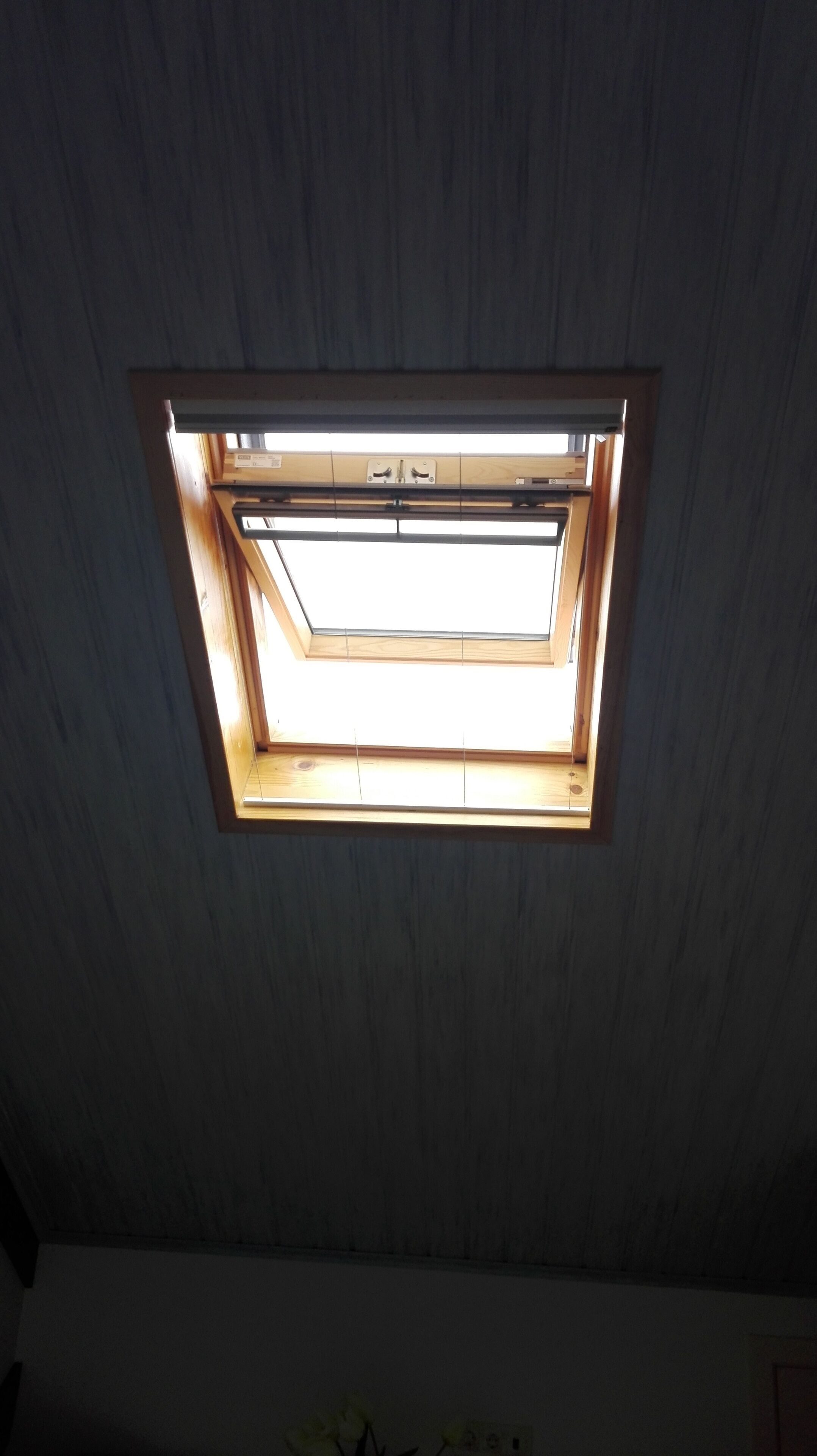 Photo - Villa Rio Guest House Suites