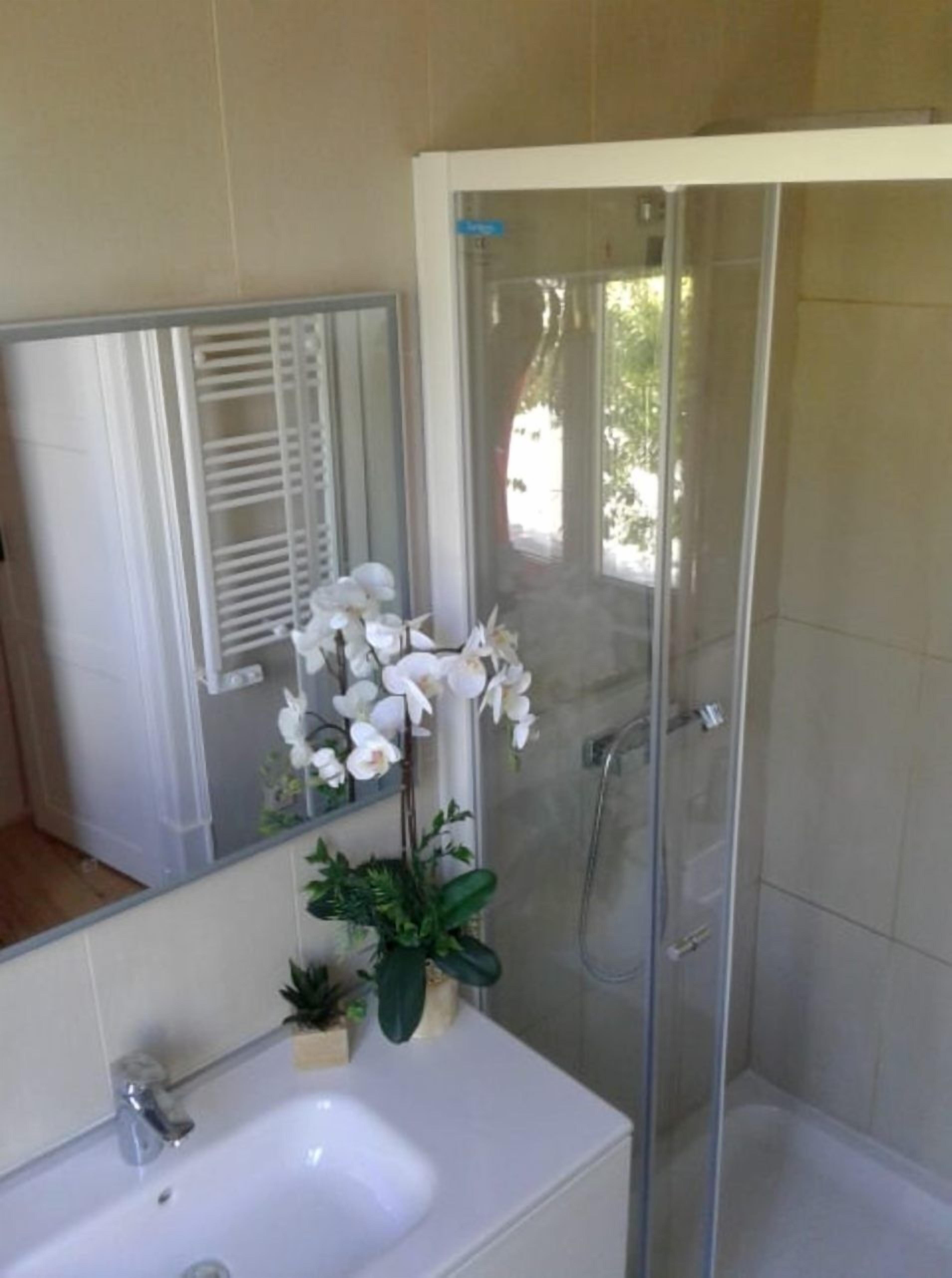 Ein Badezimmer mit einem weißen Waschbecken, einer Duschkabine aus Glas und einem Spiegel.