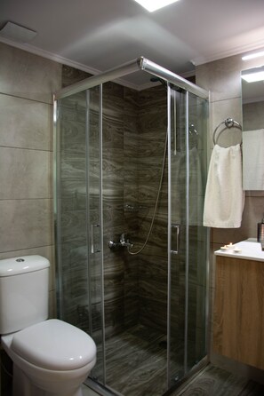 Een moderne badkamer met een douche met glazen wand, een toilet en een wastafel met spiegel.