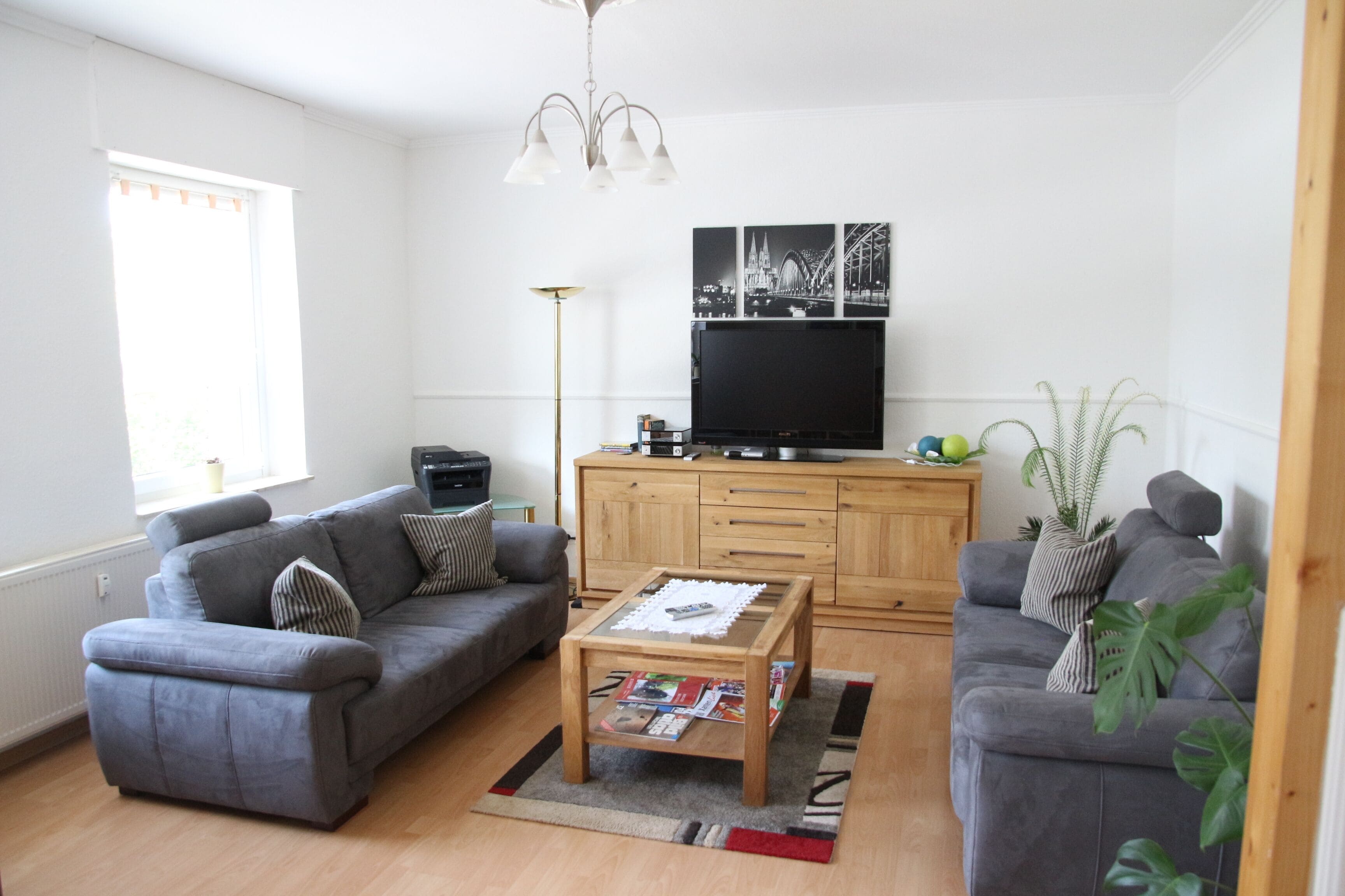 平面電視、乒乓球