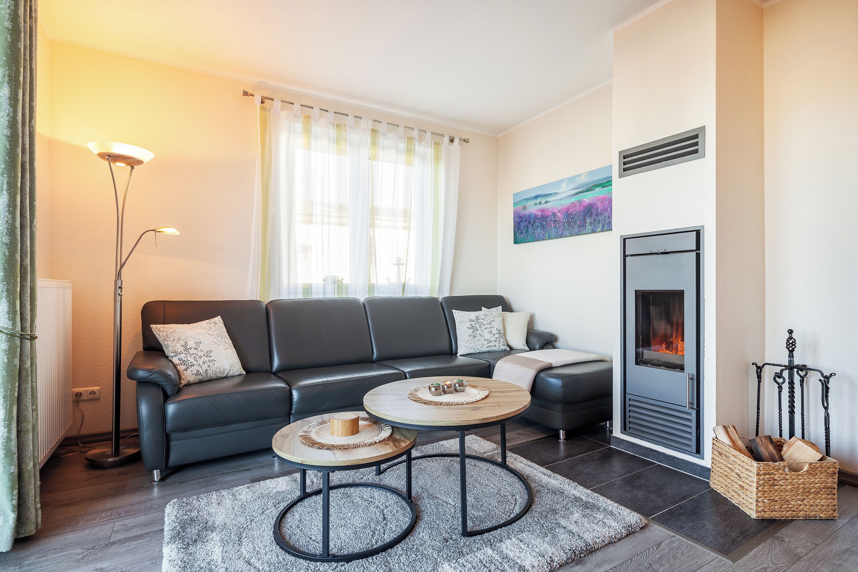 LCD TV, fireplace, DVD player, books