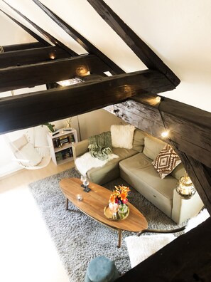 Smart TV, chimenea, reproductor de DVD y libros
