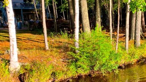 A river with ducks swimming, surrounded by trees and a building with a balcony in the background. - Sunset Cove Eagle River- Waterfront Retreat on Catfish Lake (Eagle River)