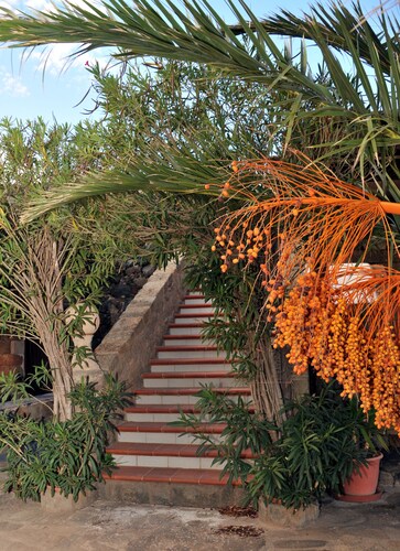 Dammuso Belvedere Pantelleria