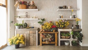 Habitació amb un armari de fusta, prestatges amb plantes en test i una finestra.