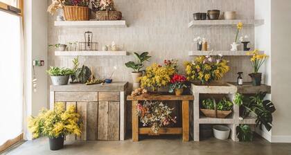 Hoy Paris - Home of YOGA