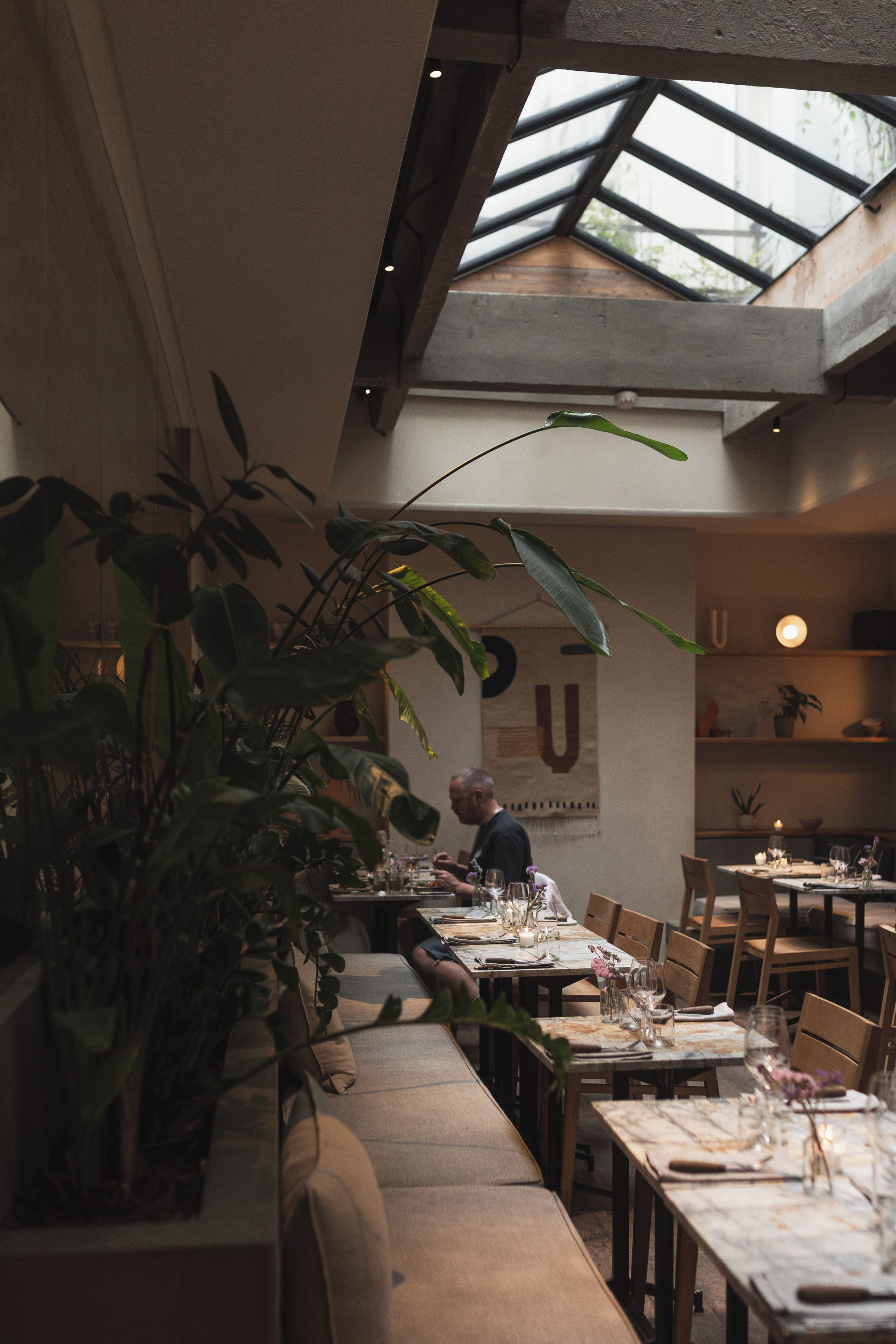 Un espacio interior comedor con mesas, sillas y una planta grande en maceta.