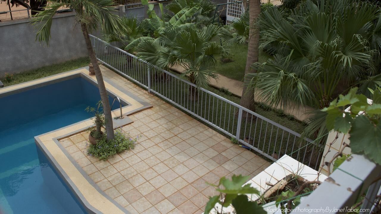 A swimming pool with a tiled deck, surrounded by palm trees and a metal fence.