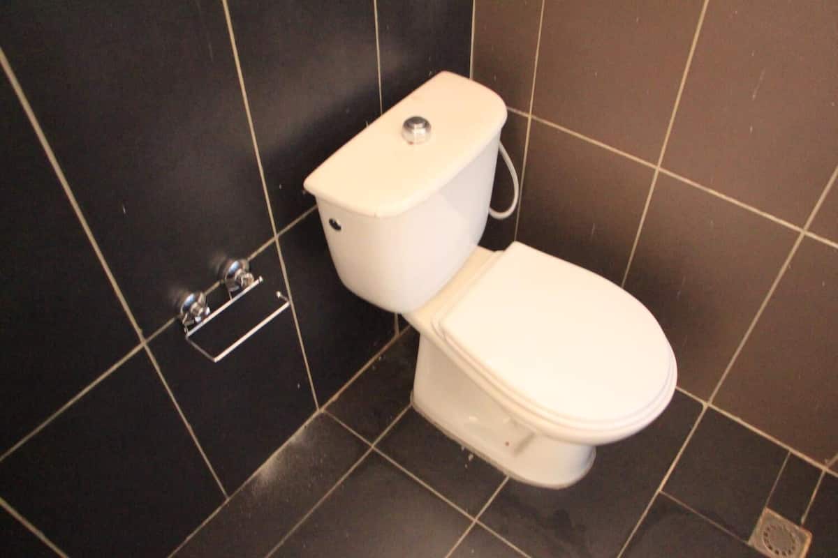 shower, towels, soap, toilet paper