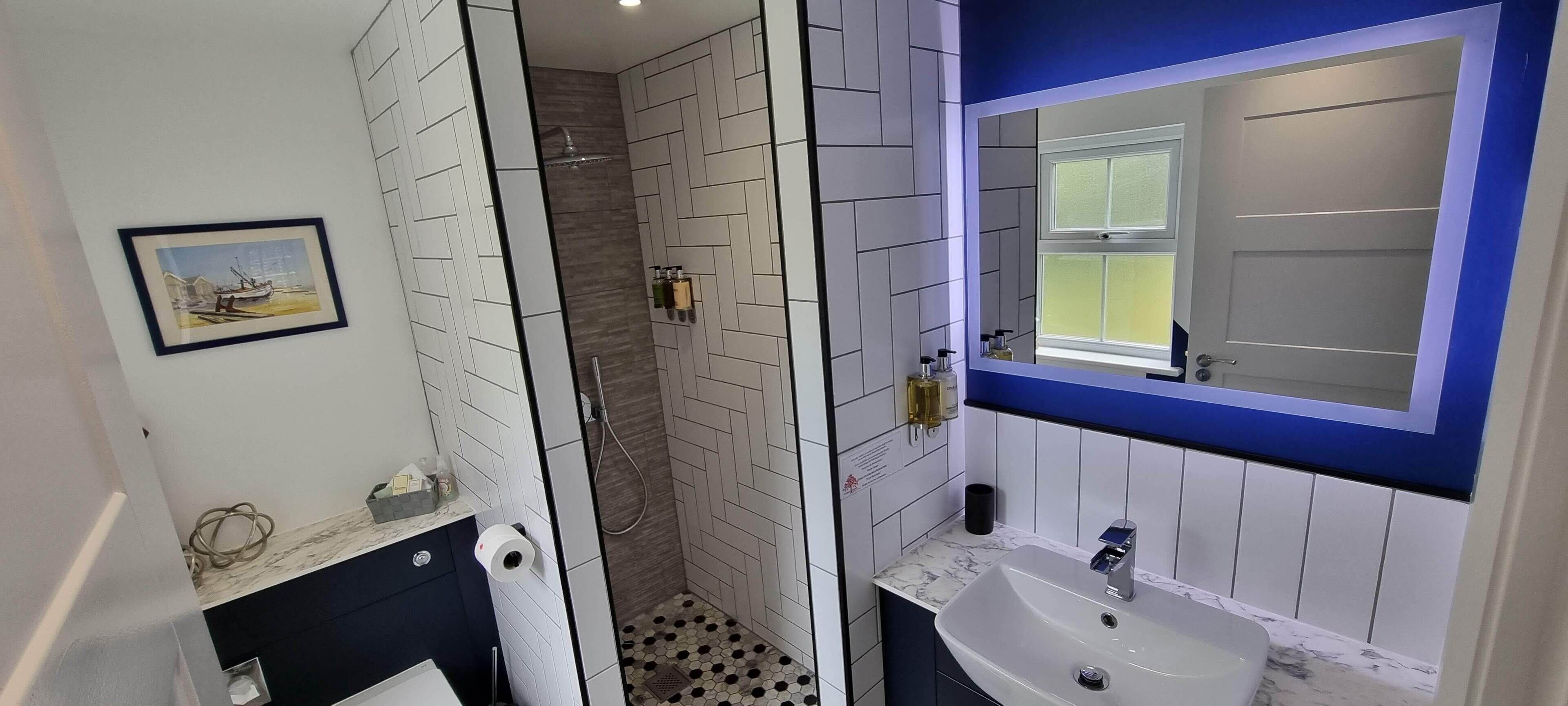 A bathroom with a shower, a sink, a mirror, and a framed picture on the wall.