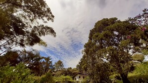 A lush garden with a variety of trees and shrubs, a well-maintained lawn, and a building in the background. - Casa Jade (Rionegro)