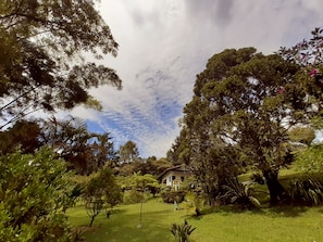 Duplex | Mountain view